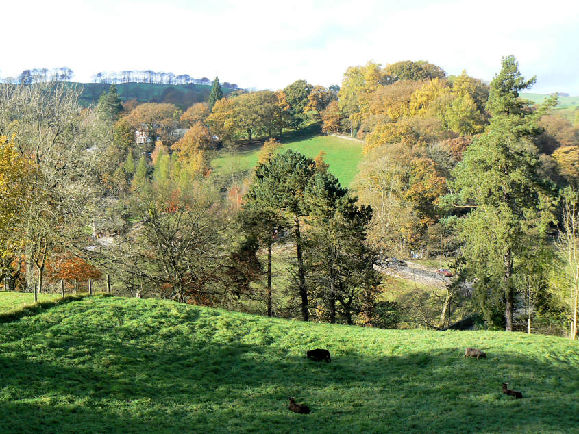 Danebridge Danebridge